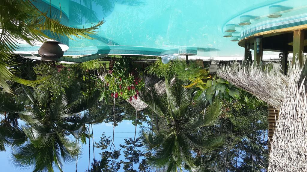 3 Bamboo Eco Lodge Cahuita Ngoại thất bức ảnh
