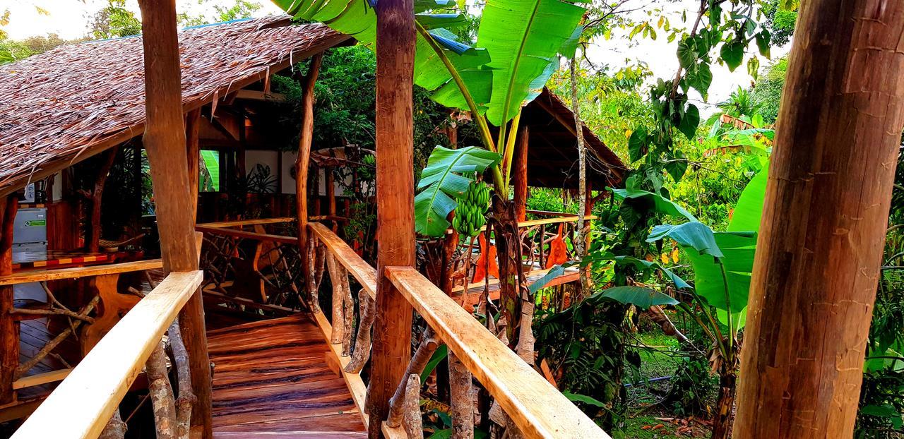 3 Bamboo Eco Lodge Cahuita Ngoại thất bức ảnh