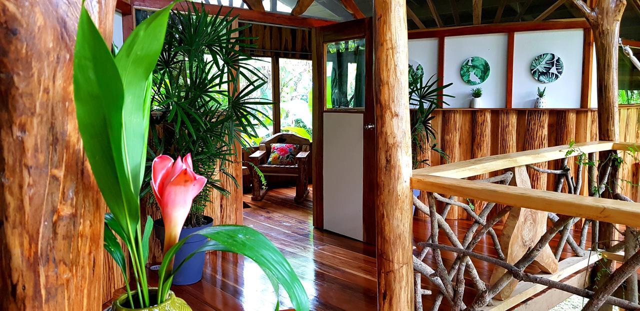 3 Bamboo Eco Lodge Cahuita Ngoại thất bức ảnh