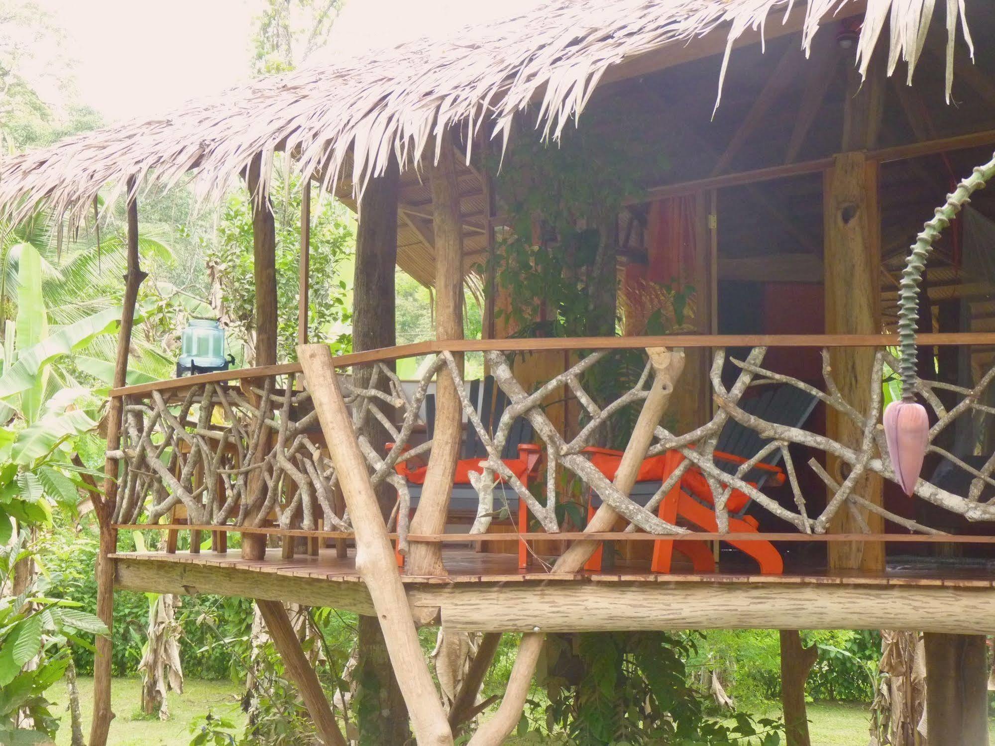 3 Bamboo Eco Lodge Cahuita Ngoại thất bức ảnh