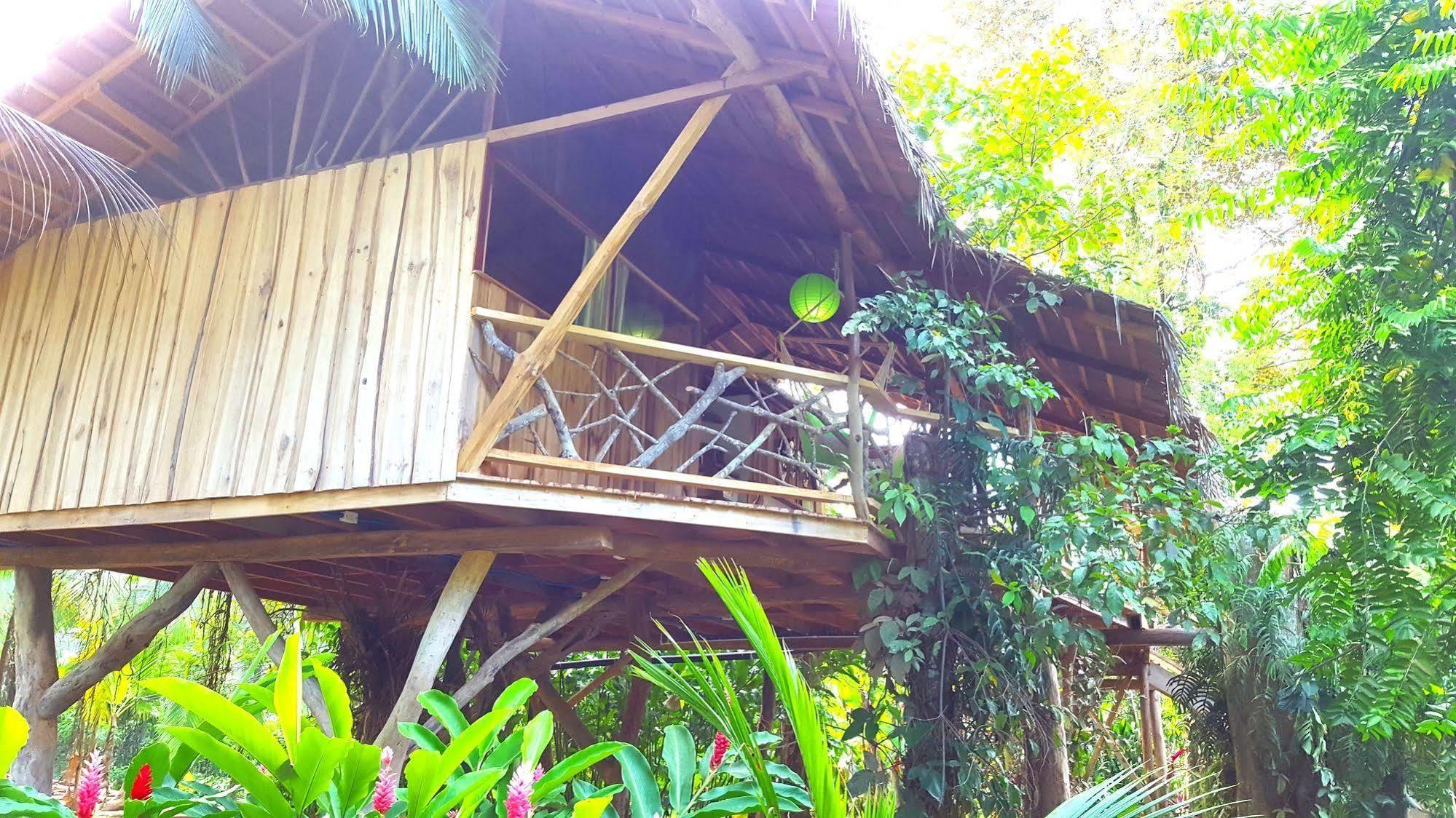 3 Bamboo Eco Lodge Cahuita Ngoại thất bức ảnh
