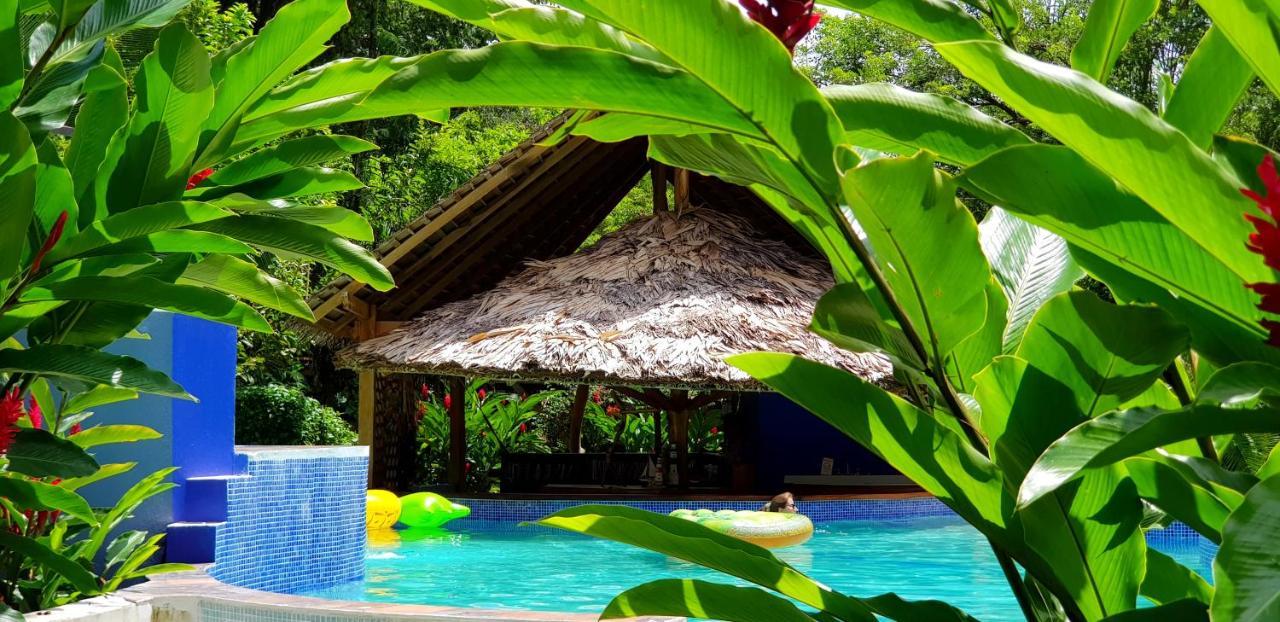 3 Bamboo Eco Lodge Cahuita Ngoại thất bức ảnh