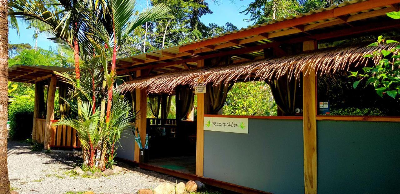 3 Bamboo Eco Lodge Cahuita Ngoại thất bức ảnh
